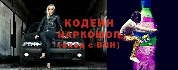 ешки Бородино