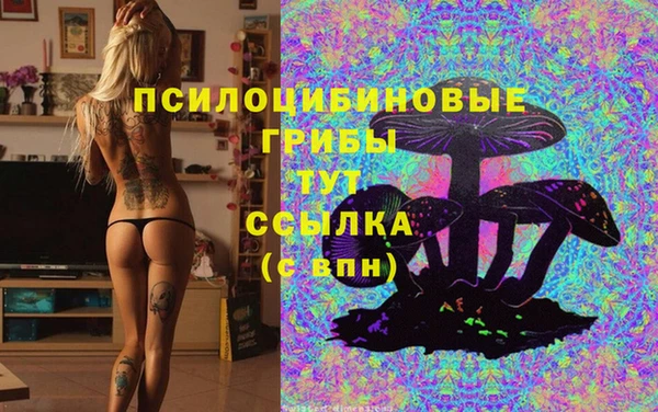 трава Богданович