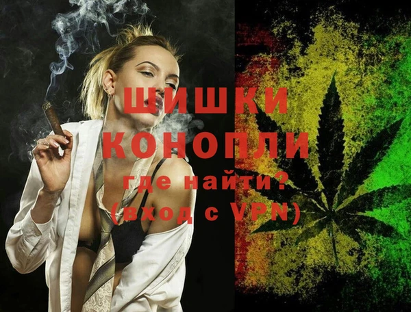 ешки Бородино